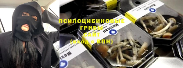 соль ск Белокуриха