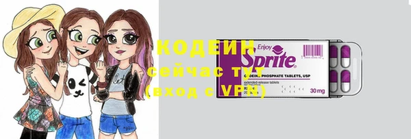 соль ск Белокуриха