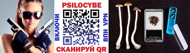 Псилоцибиновые грибы мицелий  Гатчина 