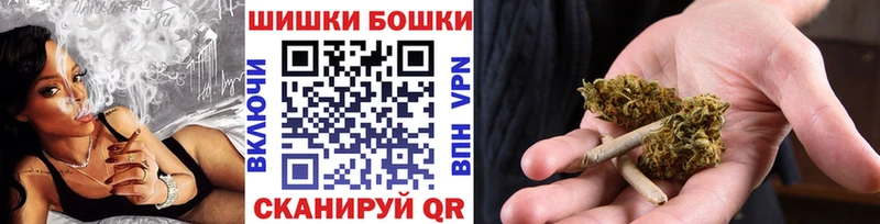 Марихуана сатива  Гатчина 